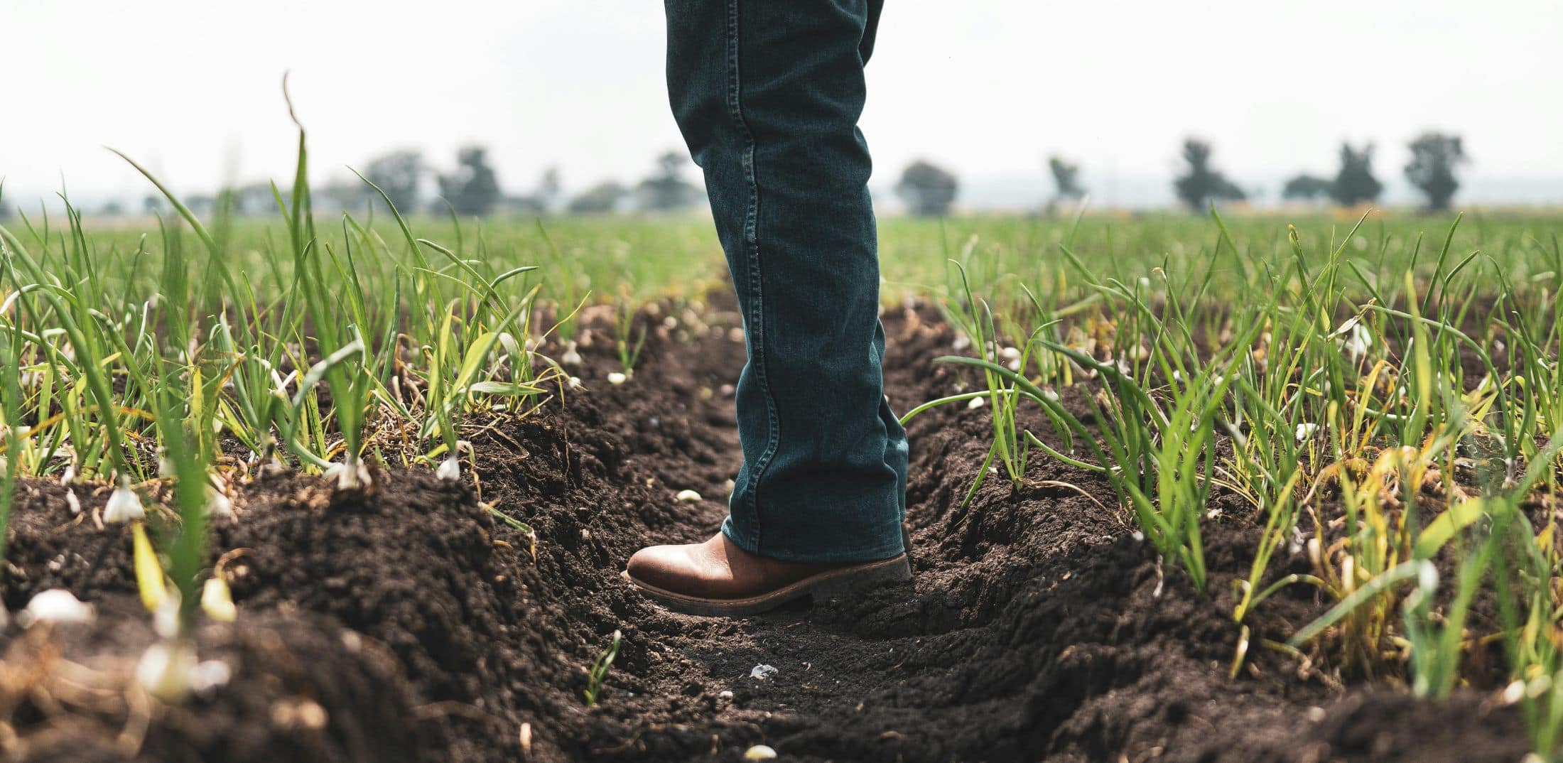 How the Government Shutdown Will Impact Farmers