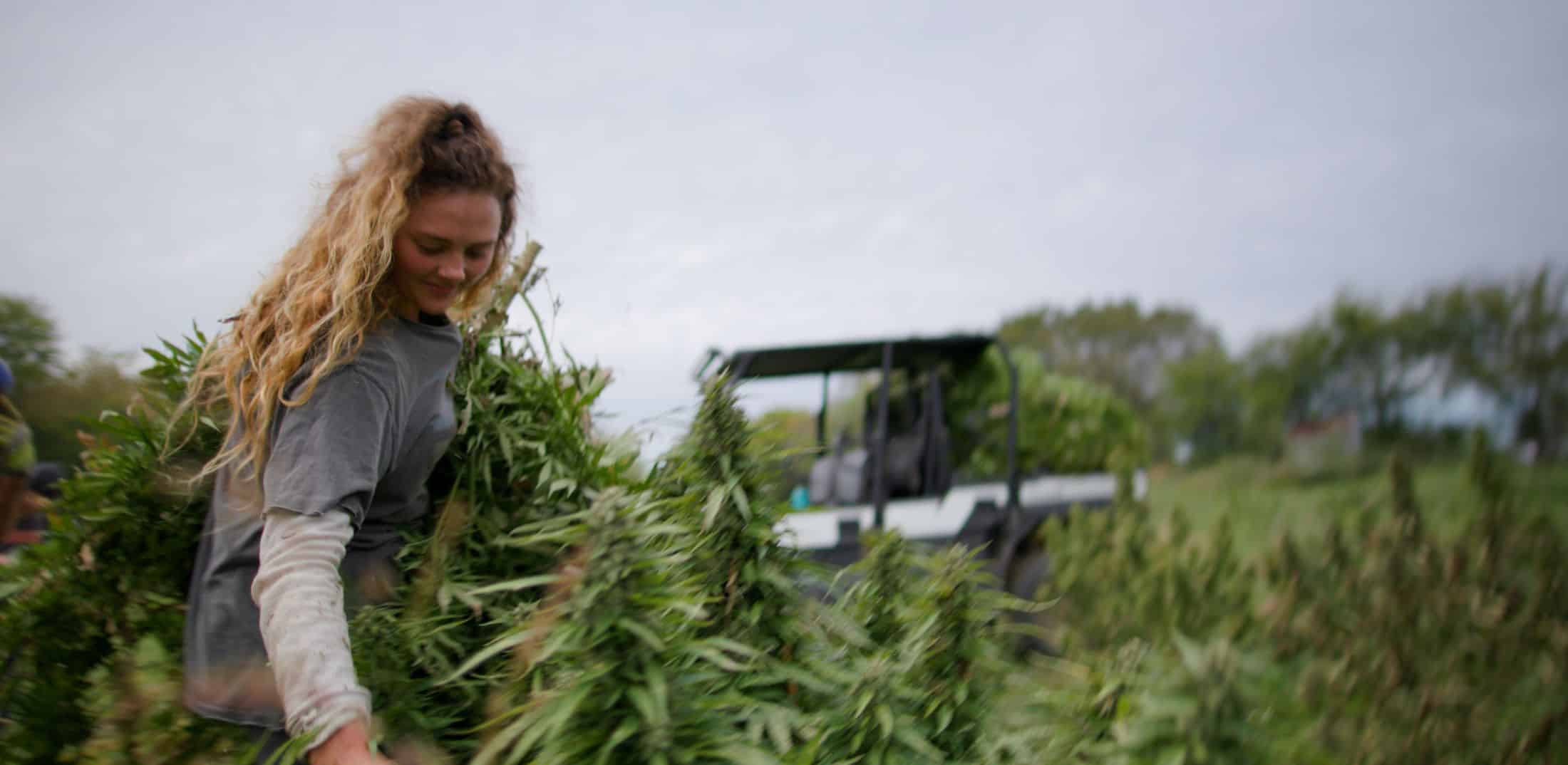 Meet the Transfarmation Farmers