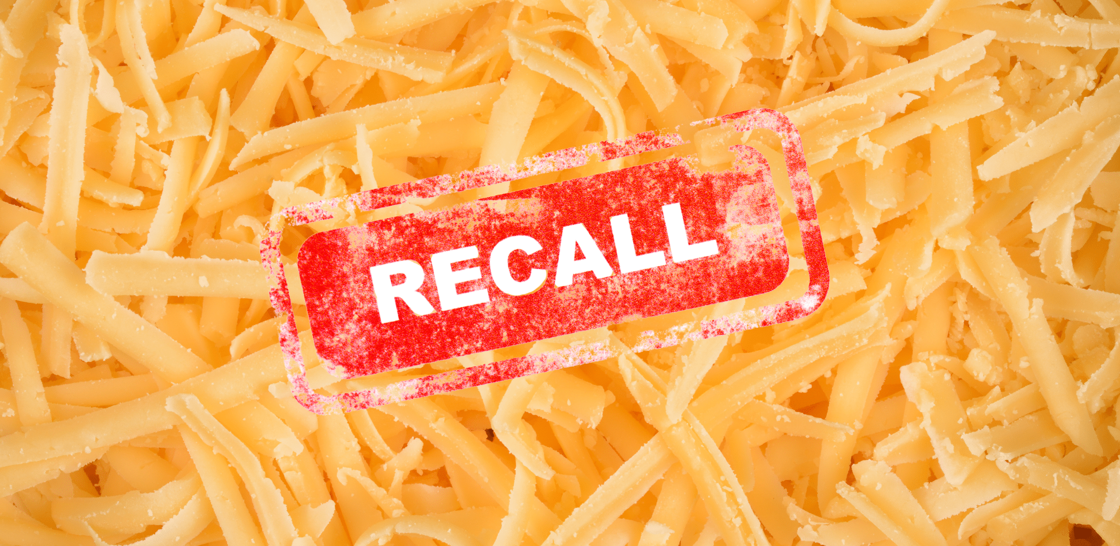 Beyond the Recall: The True Cost of Industrial Dairy