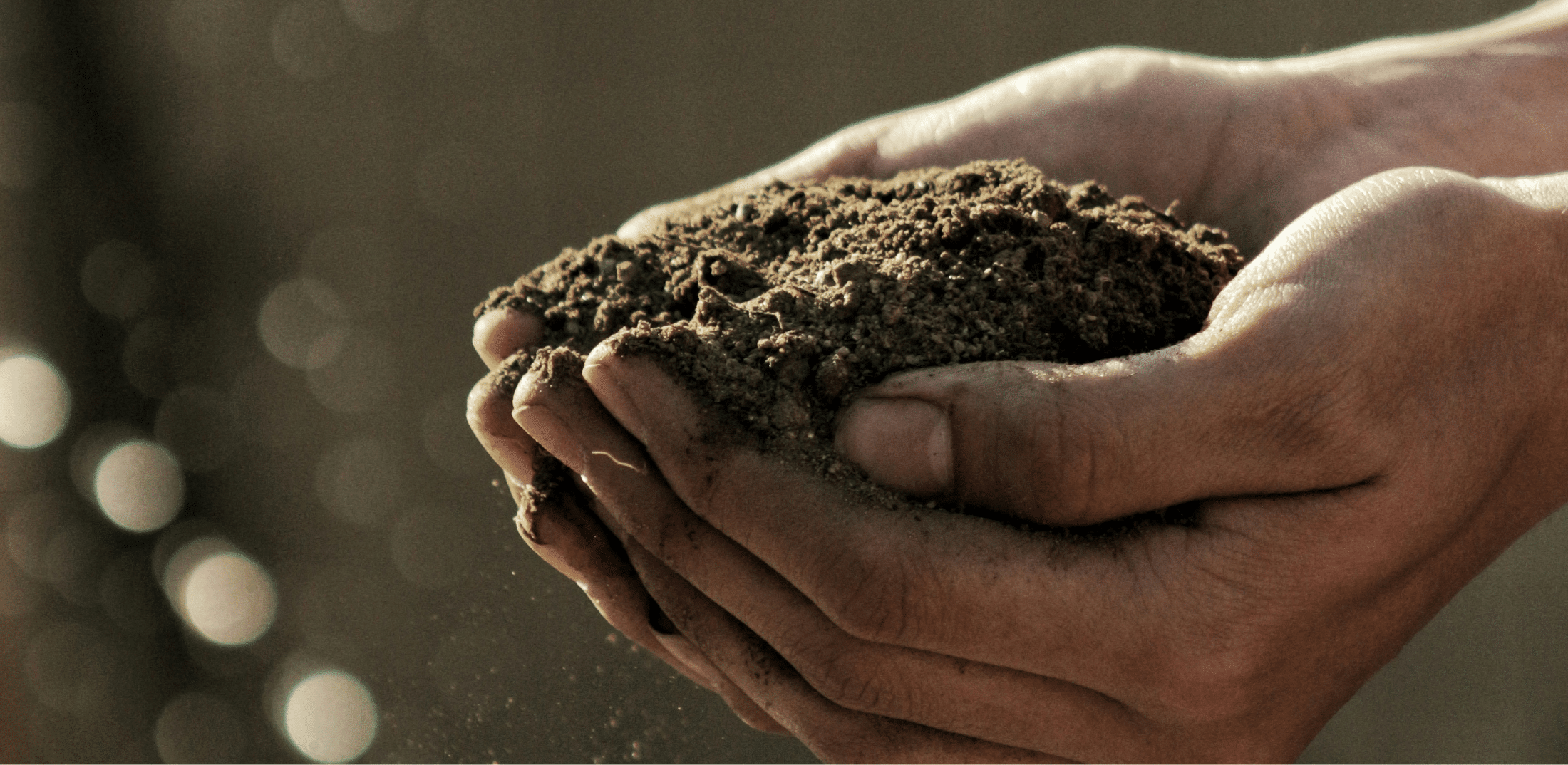 Our Soil Is Under Pressure, and Farmland Is at Risk