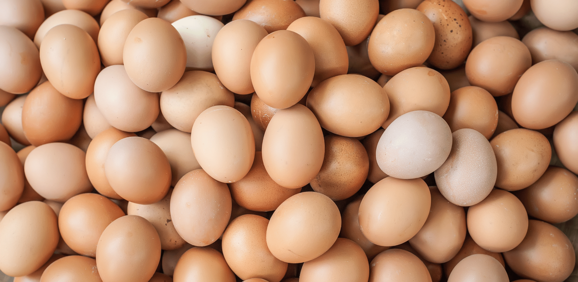 The Vital Farms Scramble