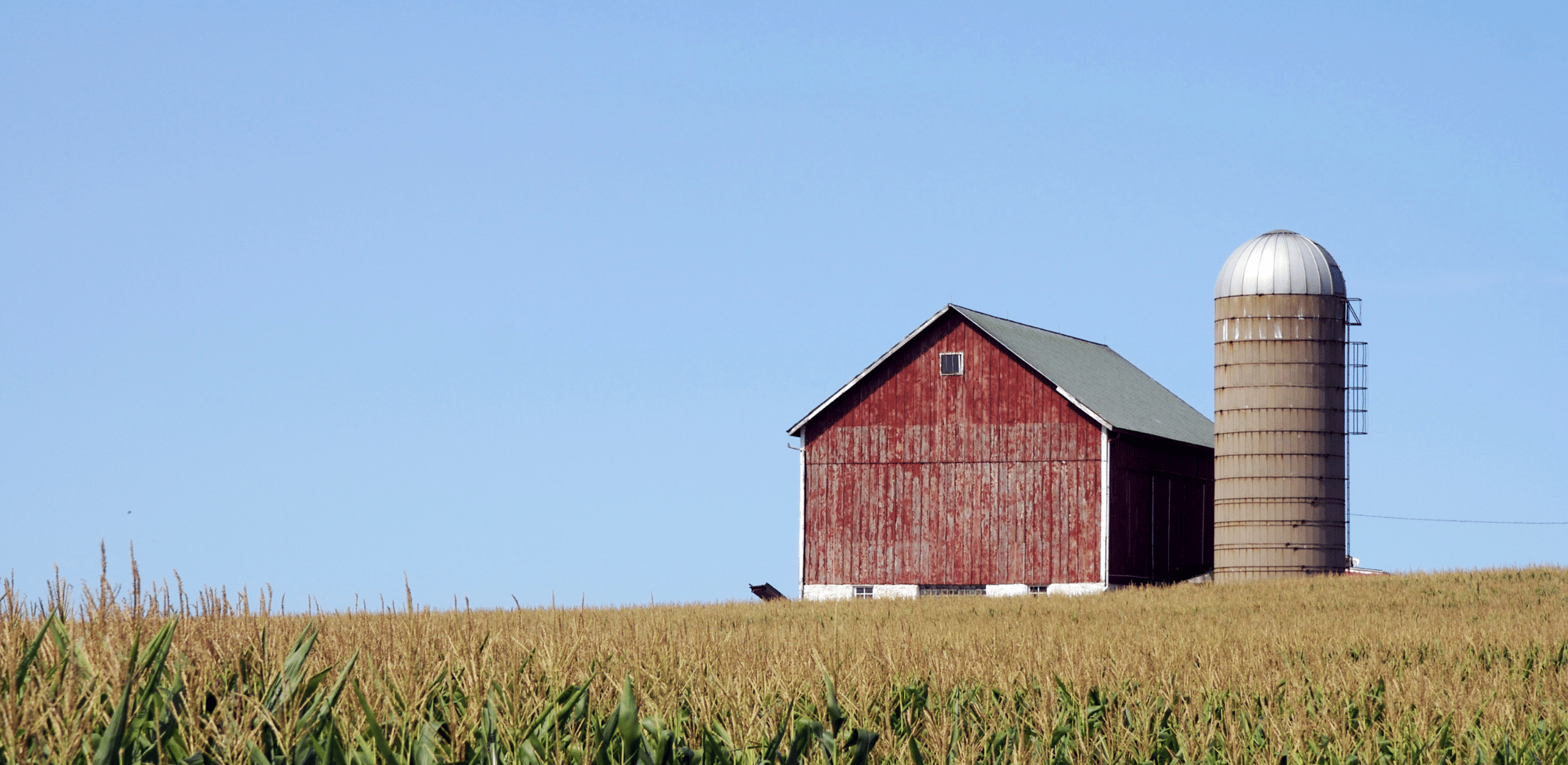 What is the Farm Bill?