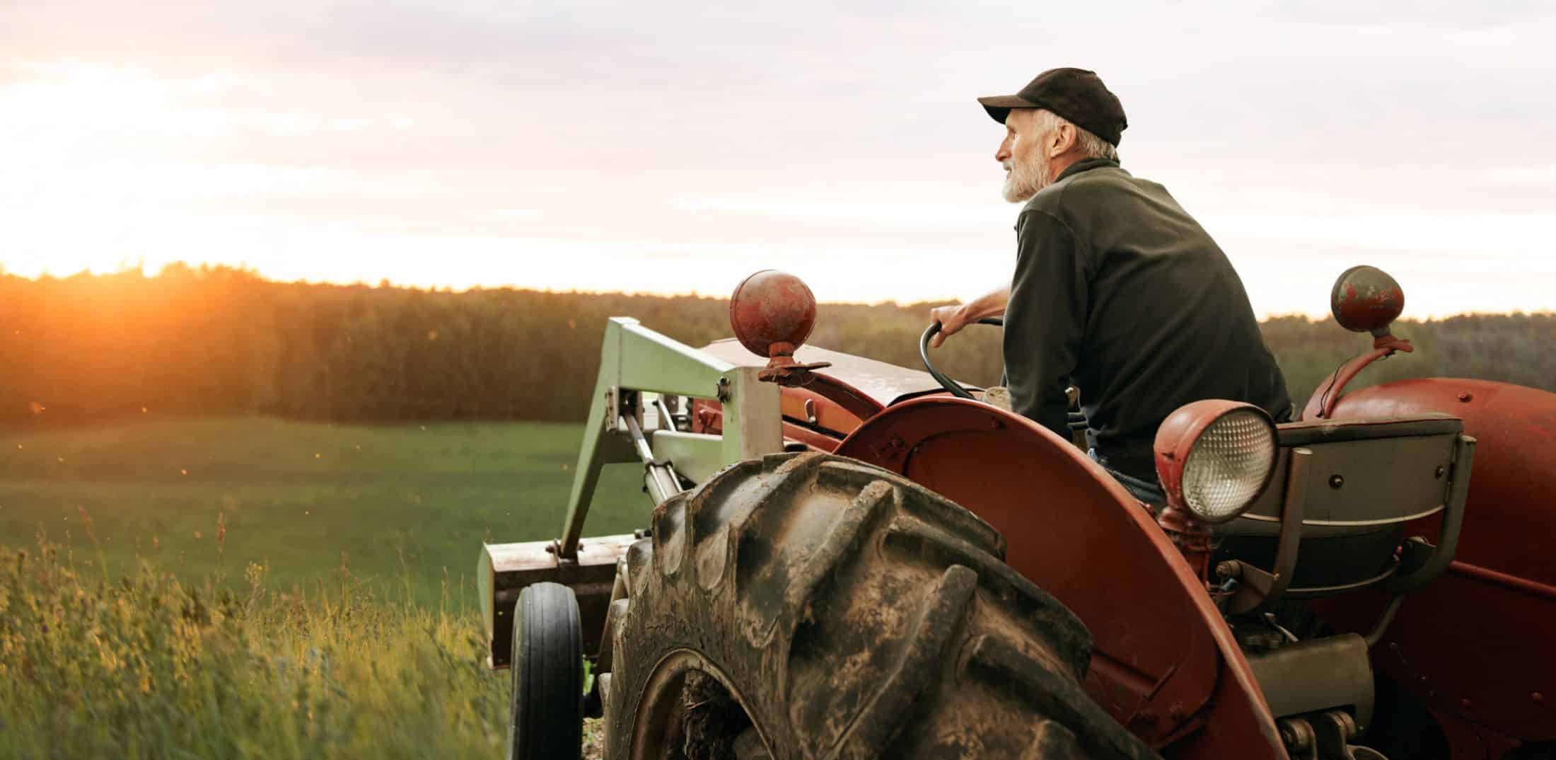 Why Are Small Farms Struggling?