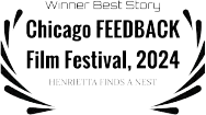 Chicago Feedback Film Festival 2024 Winner Best Story