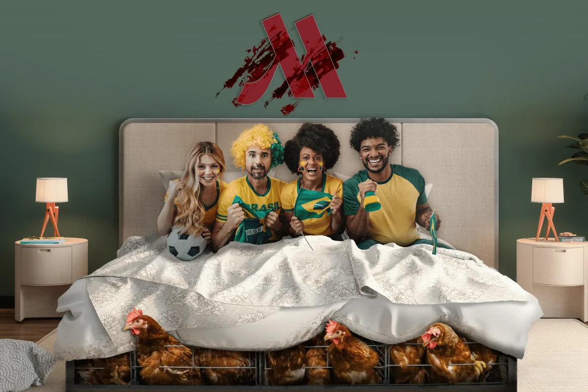 Conceptual illustration of four smiling soccer fans in a hotel bed, while crowded hens in wire battery cages are packed beneath the mattress.