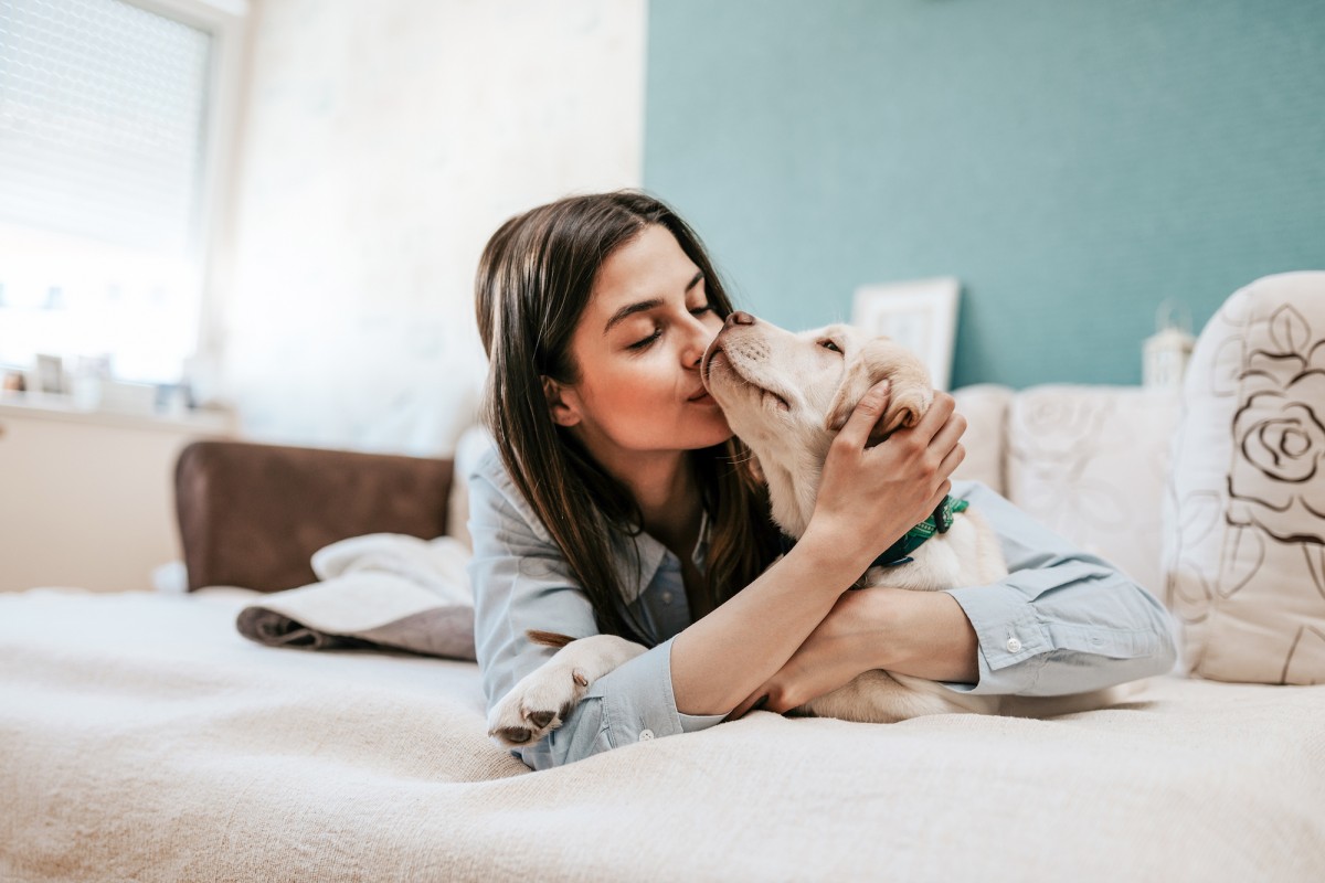 New Study Says Dogs Are Not as Smart as You Think. Here’s Why That