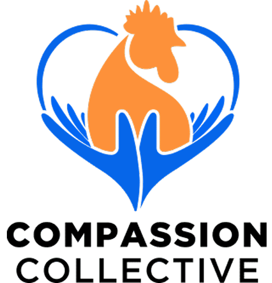 Compassion Collective Logo