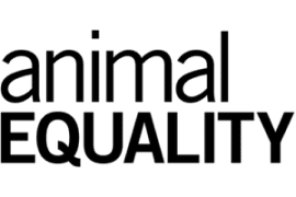 Copy-of-Animal-Equality