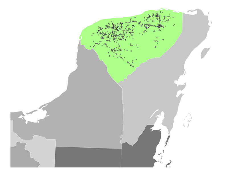 Mapa de la Península de Yucatán en escala de grises, destacando el estado de Yucatán en verde brillante, cubierto con cientos de puntos negros concentrados que representan la ubicación de las posibles megagranjas porcinas en toda la región.