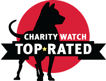 Charity watch top-rated
