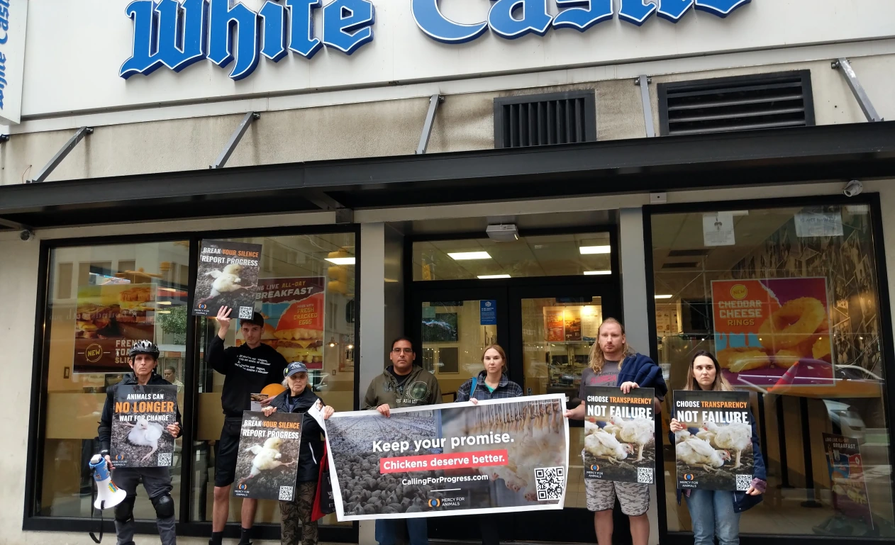 White castle protest